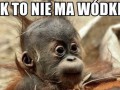 Jak to
