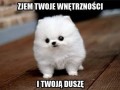 Już po tobie