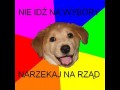 Wybory