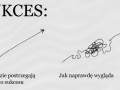 Sukces