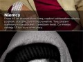 Emerytura