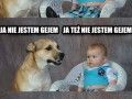 Czy wiesz że