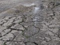 Polskie drogi