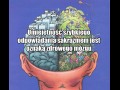 Sarkazm