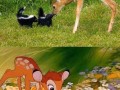 Awwwwww