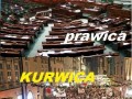Polityka