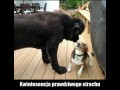 Strach