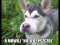 Za późno