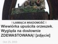 łamiąca wiadomość
