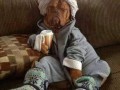Chill