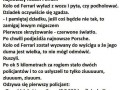 Dowcip 1