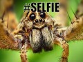 Selfie