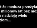 Fakt