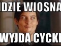Wiosna