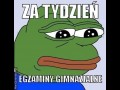 Egzaminy