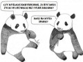 Pandy