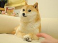 Cute
