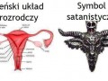 Teraz rozumiem