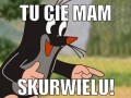Krecik