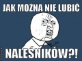 Naleśniki