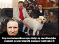 życzenia