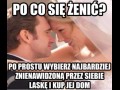 Lol 4