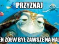 Przyznaj