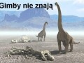 Gimby nie znają