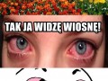 Wiosna 1