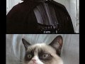 Grumpy cat