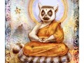 Budda