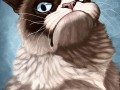 Grumpy