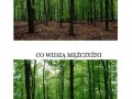 Drzewa