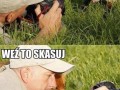 Pozdrawiam