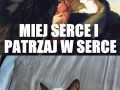 Zrzędliwy kot 1