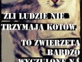 źli ludzie