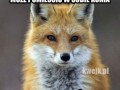 Pomyśl