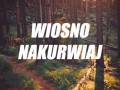 Wiosno
