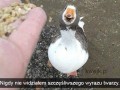 Szczęście