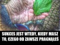 Różnica 1