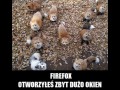 Firefox