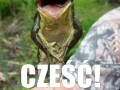 Cześć