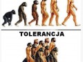 Tolerancja