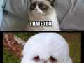 I hate you