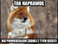 Co mówi lis