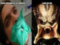 Dentysta