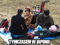 Tymczasem w japonii