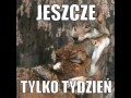 Koniec szkoły