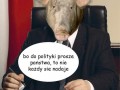 Polityka