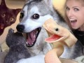 Internety